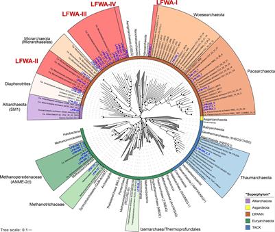 Genomic Insights Into the Archaea Inhabiting an Australian Radioactive Legacy Site